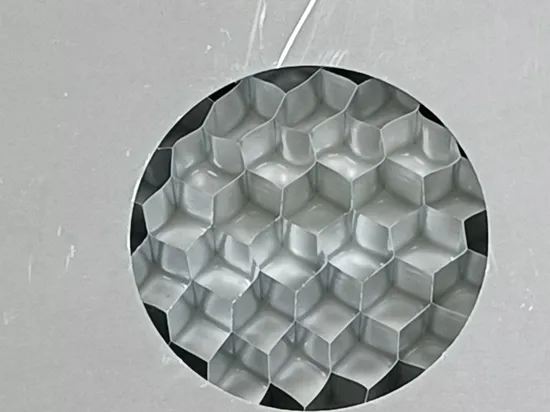 Aluminum Cladding Honeycomb Composite Sandwich Wall Panel for Facades 