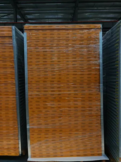 Rockwool/EPS/PU/Glass Magnesium/Honeycomb Panel Fireproof Cleanroom Clean Room Sandwich Panel for Partition Wall and Ceiling 